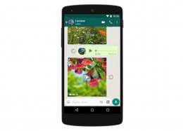 WhatsApp é usado para fazer 55 milhões de ligações de vídeo por dia.