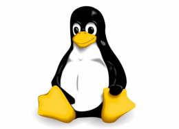 Liberdade e solidez para data centers