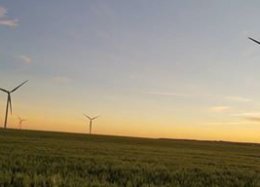 Futuro verde: energia eólica já é mais barata do que combustíveis fósseis.