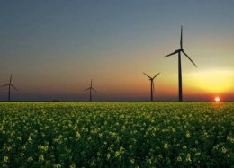 Google diz que funcionará totalmente com energia renovável em 2017.