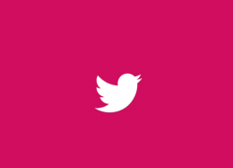 Twitter lança Chatbot para marcas via Mensagem Direta 