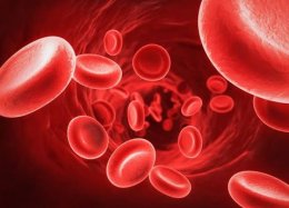 Já é possível produzir sangue artificial em larga escala.