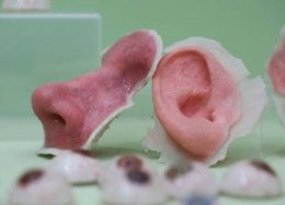 L'Oreal vai produzir pele com impressora 3D.