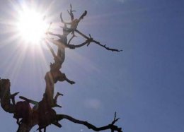 FAO lança novo sistema para detectar a seca desde o espaço.