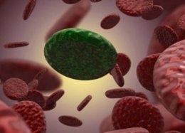 Cientistas desenvolvem anticorpo para combater leucemia.