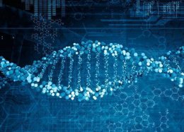 Cientistas são autorizados a editar embriões humanos fertilizados pela 1ª vez