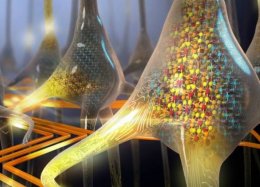 Cientistas da IBM criam neurônios artificiais que 'pensam' sozinhos