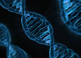 Microsoft consegue guardar vídeo de 200 MB em DNA