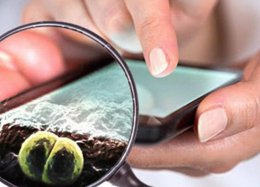 Seu celular provavelmente está sujo; saiba como limpar.