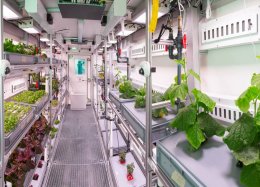 Nova técnica pode permitir cultivo de alimentos na Lua e em Marte.