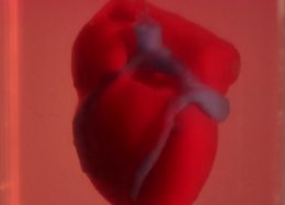 Cientistas usam impressão 3D para criar coração completo com tecido humano.