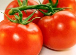 Estudo planeja viabilizar cultivo de tomates no Espaço.
