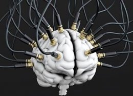 Neuralink: Elon Musk vai unir o cérebro humano com computadores.