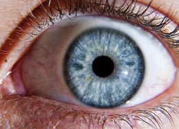 Empresa diz que sua tecnologia pode identificar terroristas pelos olhos