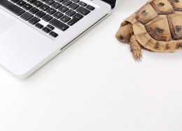 Pesquisa confirma: Internet lenta aumenta o nível de stress