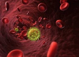 Cientistas criam proteína capaz de bloquear o vírus HIV em macacos, sinalizando uma esperança de 